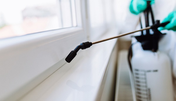 شركة مكافحة حشرات بالرياض